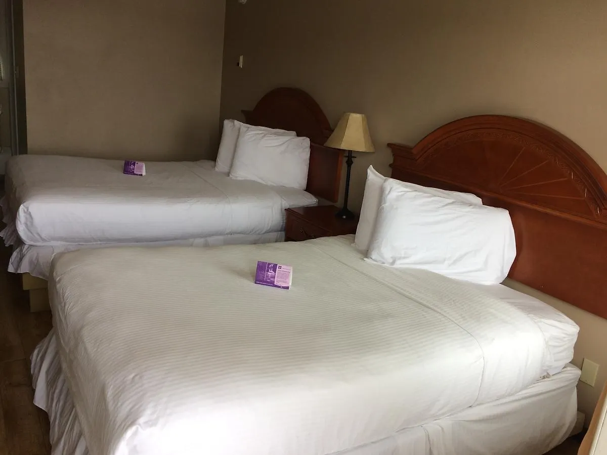 Nice Inn Эдмонтон 2*,